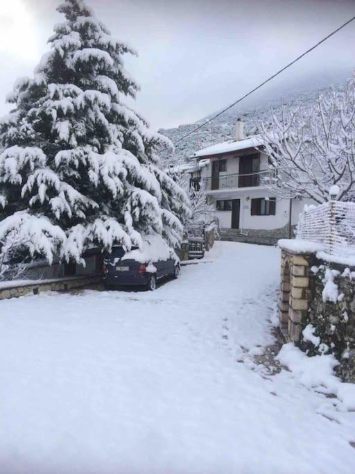 Theisoa.Old Little House In The Garden . Andritsaina. Villa Exterior photo
