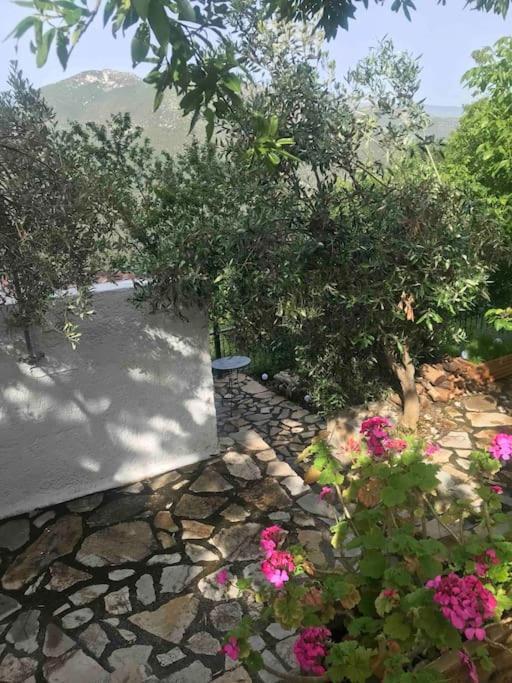 Theisoa.Old Little House In The Garden . Andritsaina. Villa Exterior photo